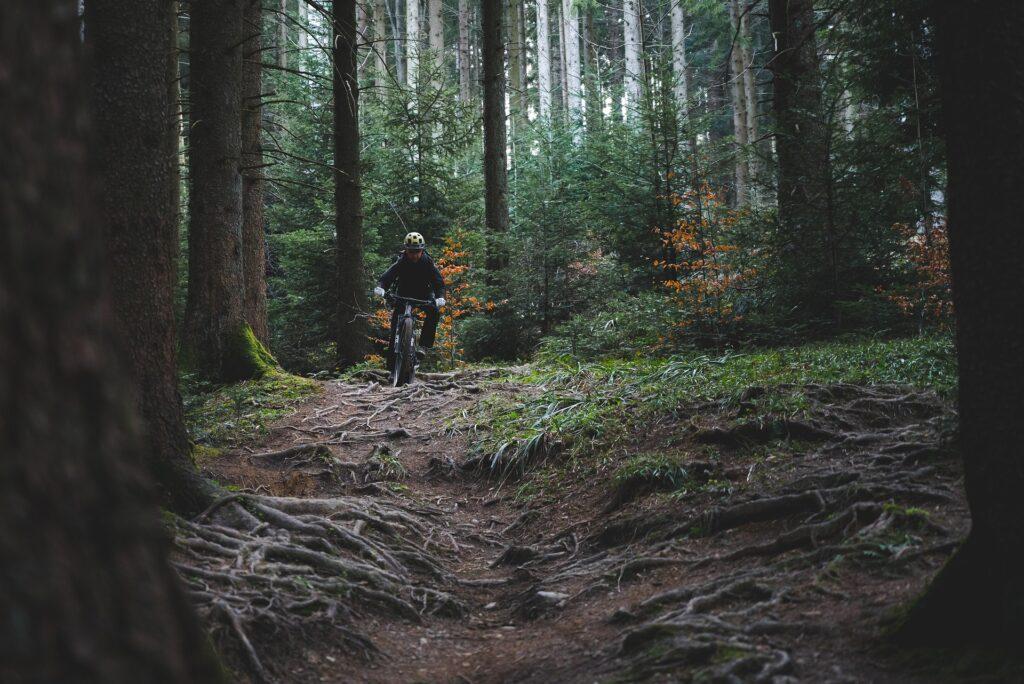 trail-riding-and-mountain-biking