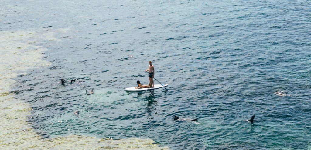 how to stand-up paddle board like a pro