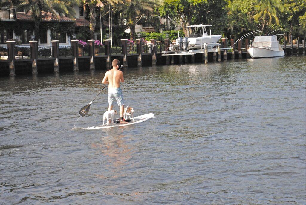 paddle board spots near me