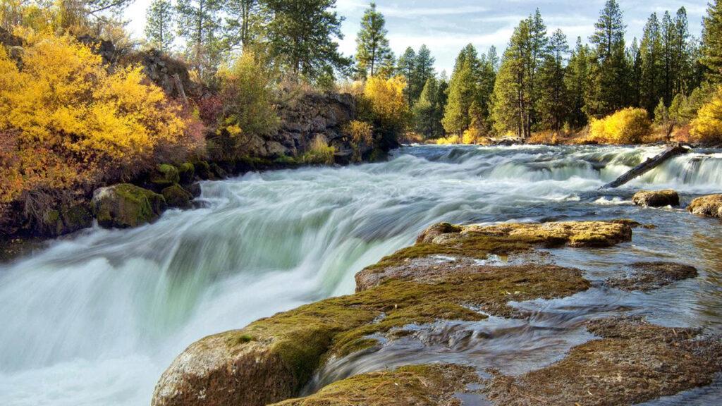 paddle boarding deschutes river oregon