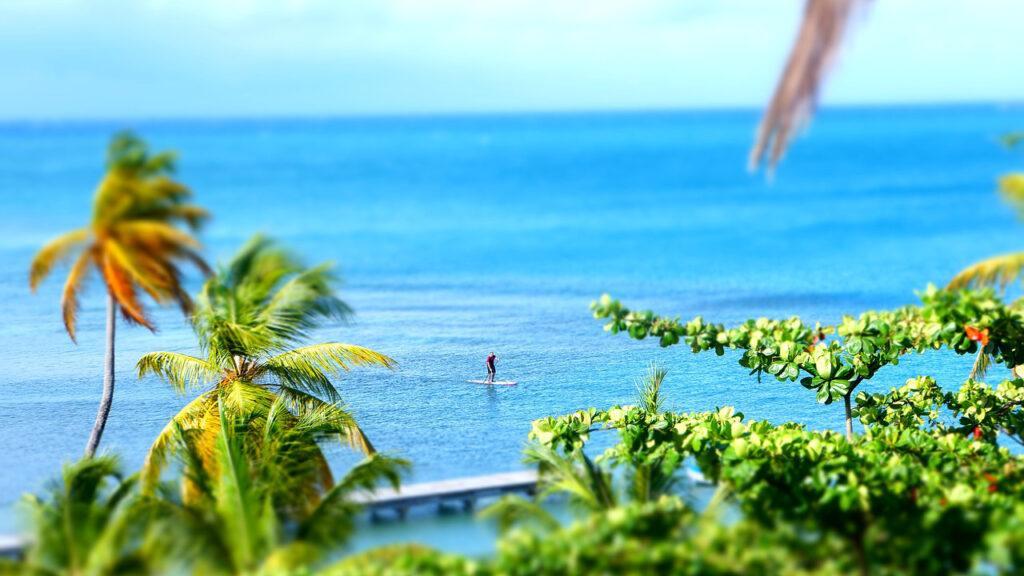 paddle board in miami