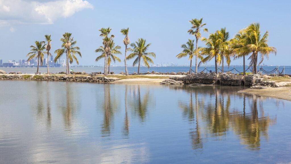 paddle boarding in matherson hammock park