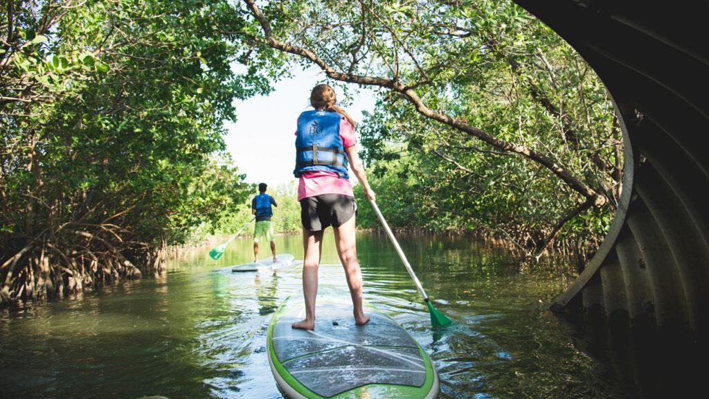 paddle boarding in oleta river state park