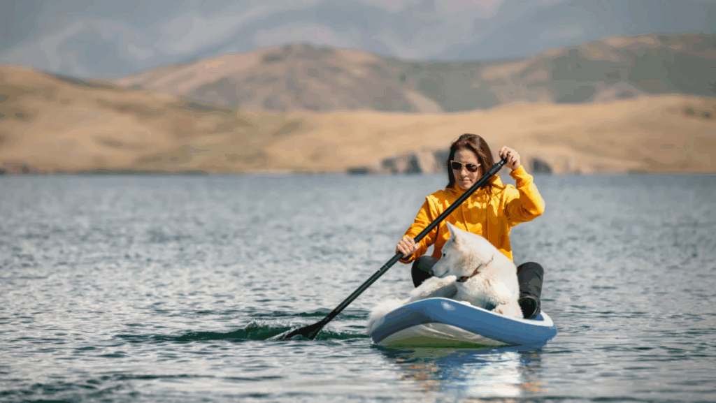best stand up paddle boards for dogs