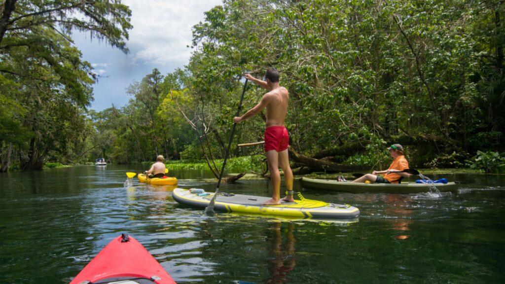 the difference between sup and kayak