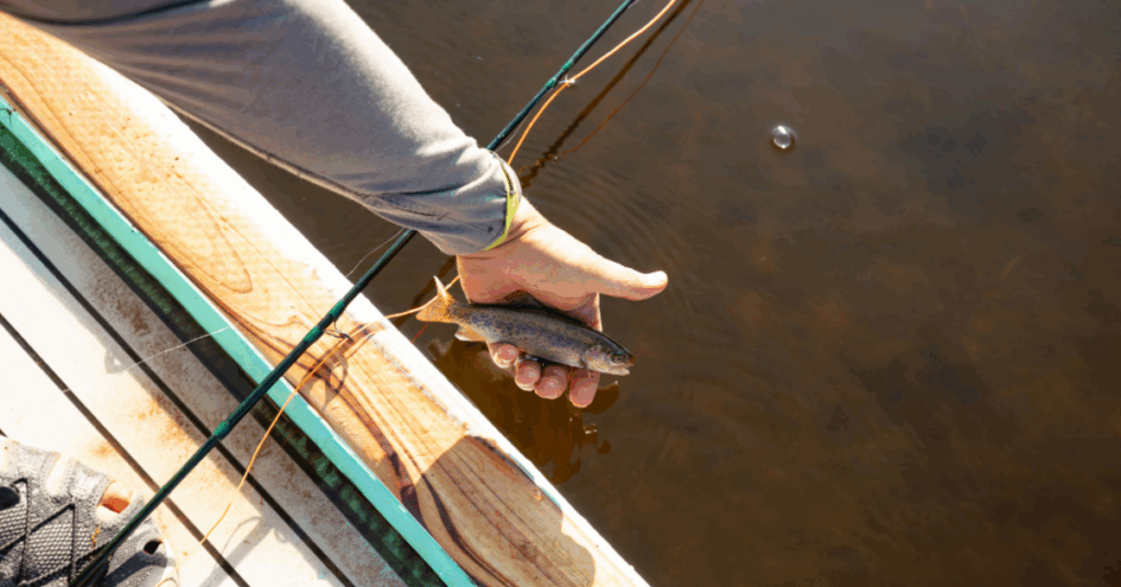 Safety and Techniques for Paddle Board Fishing